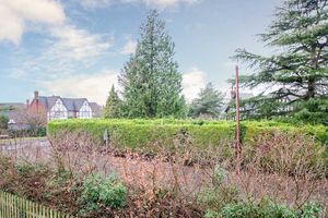 Photo 24- click for photo gallery